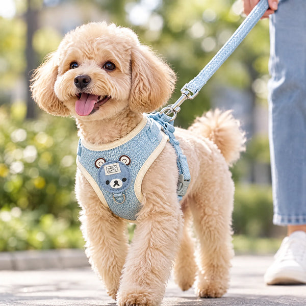 Arnés y Correa Para Perros Pequeños