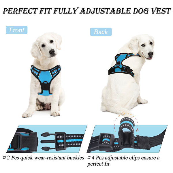 Pechera Anti Tirones Para Perro Mascota Pretal Arnés + Correa