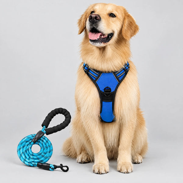 Pechera Anti Tirones Para Perro Mascota Pretal Arnés + Correa