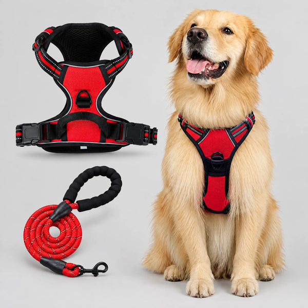 Pechera Anti Tirones Para Perro Mascota Pretal Arnés + Correa