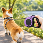 Correa Retráctil Automática para Perros Mascota