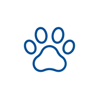 Mascotas